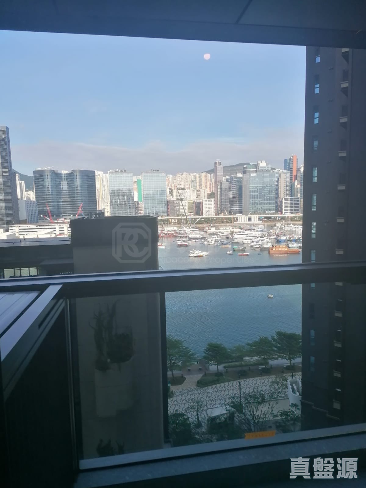 柏蔚森 2期 柏蔚森II 2座 中层 C室 土瓜湾/九龙城/新启德/新蒲岗