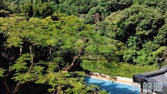 薈蕎 2翼 高層 C7室 大圍