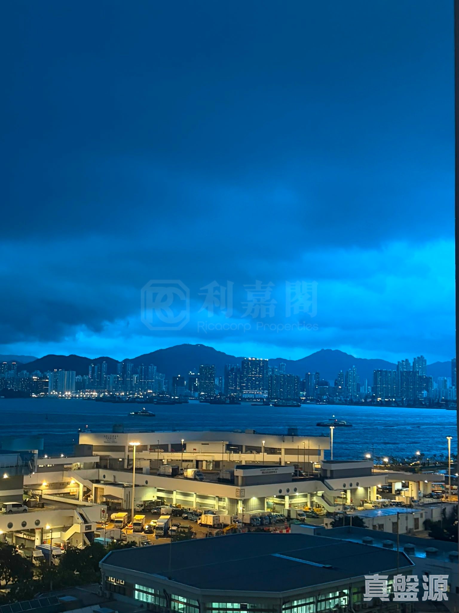 维港峰 低层 E室 中上环/西区