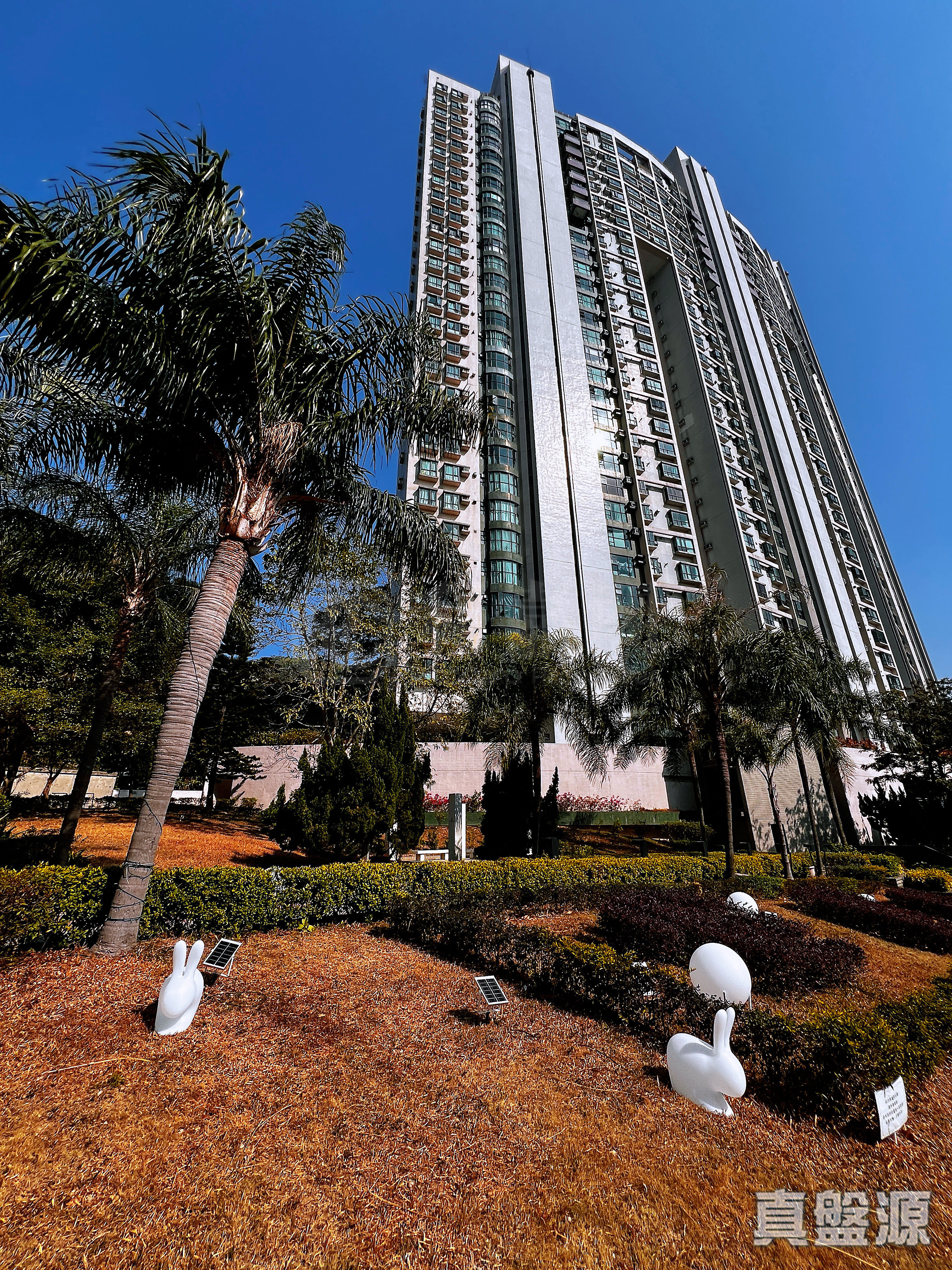 恒丽园 2座 中层 B室 深井/青山公路