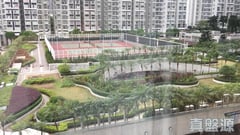 丽港城 4期 23座 低层 EF室 观塘/蓝田/油塘