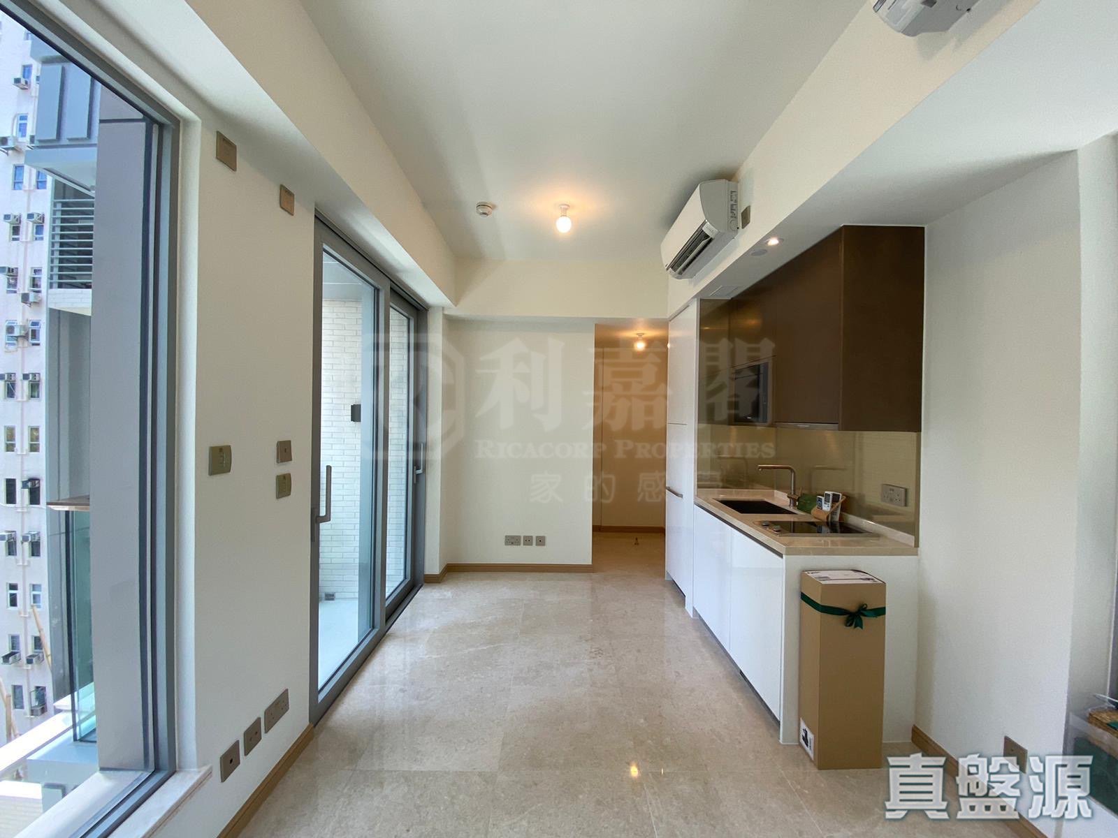 薄扶林道63號 1座 (AMBER HOUSE) 低層 G室 西半山