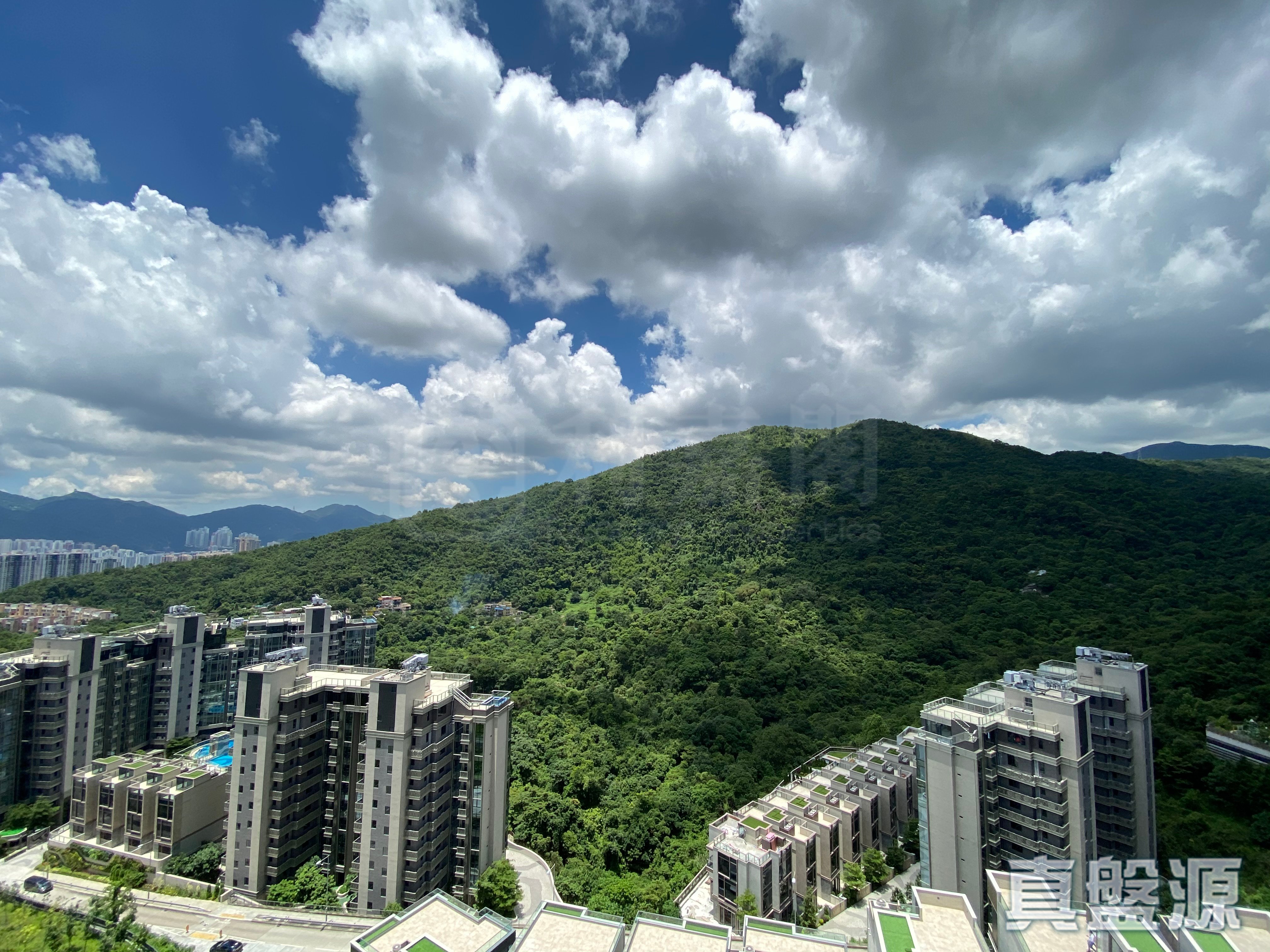 骏岭荟 2座 极高层 沙田/火炭/九肚山