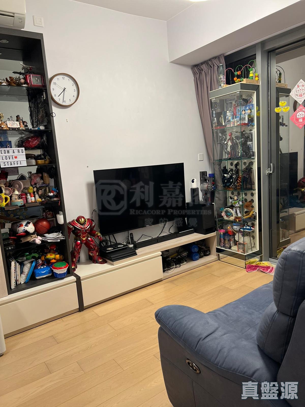 SAVANNAH 3C座 低层 D室 将军澳