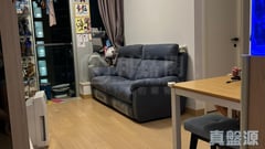 SAVANNAH 3C座 低層 D室 將軍澳