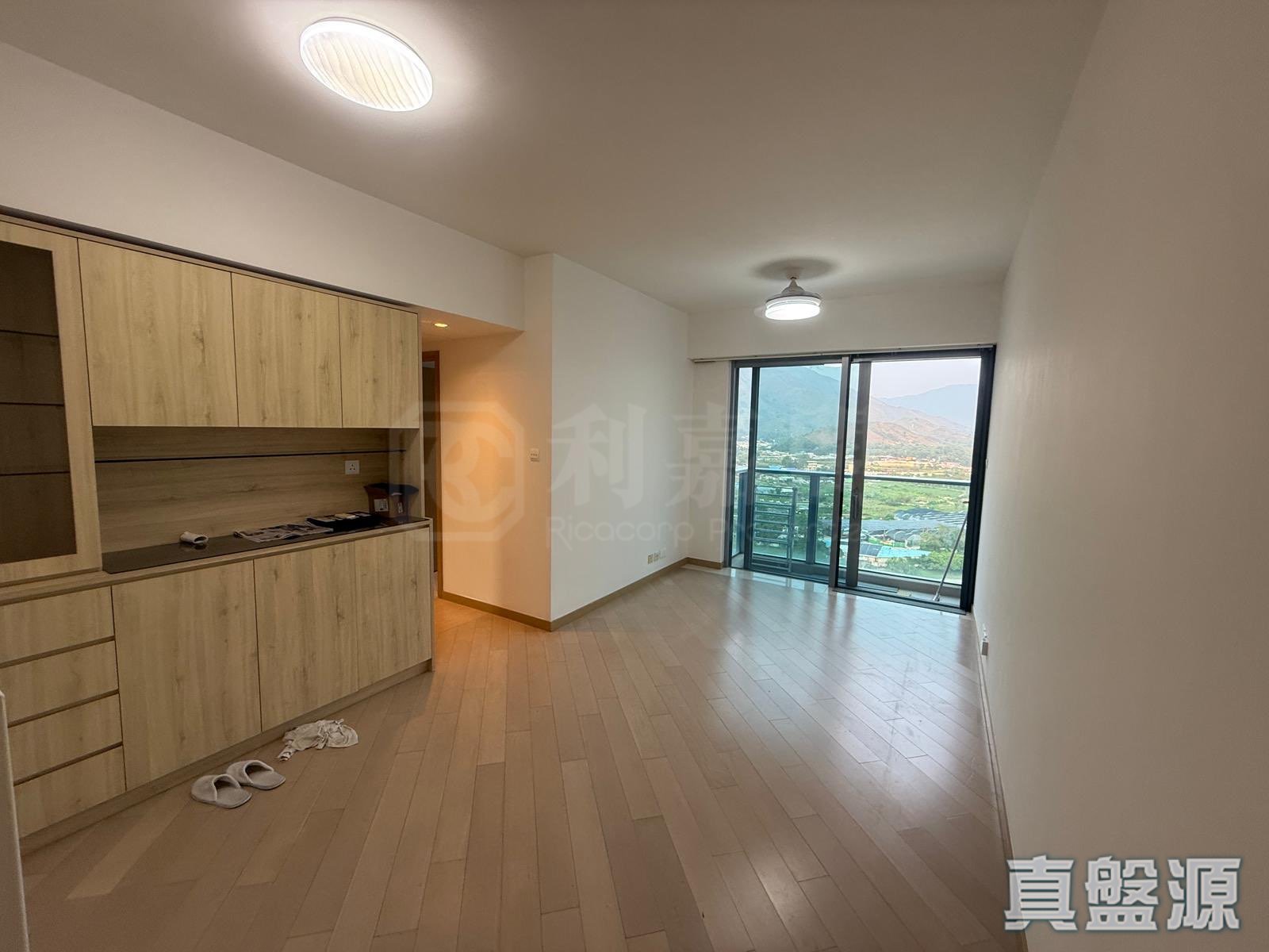 峻巒 2B期 PARK YOHO NAPOLI 25B座 高層 A室 元朗