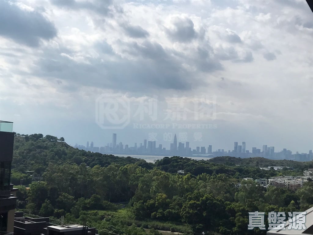 WETLAND SEASONS BAY 2期 1B座 極高層 天水圍