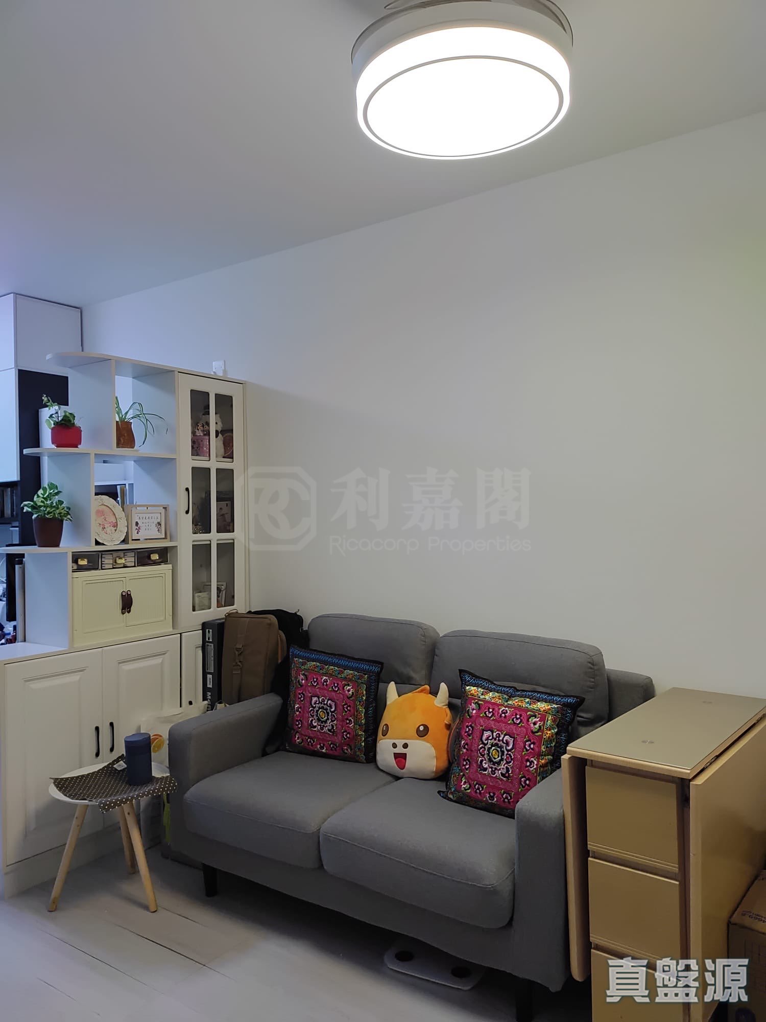 青富苑 B座 中层 23室 青衣