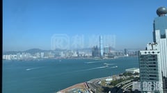 維港峰 高層 C室 中上環/西區