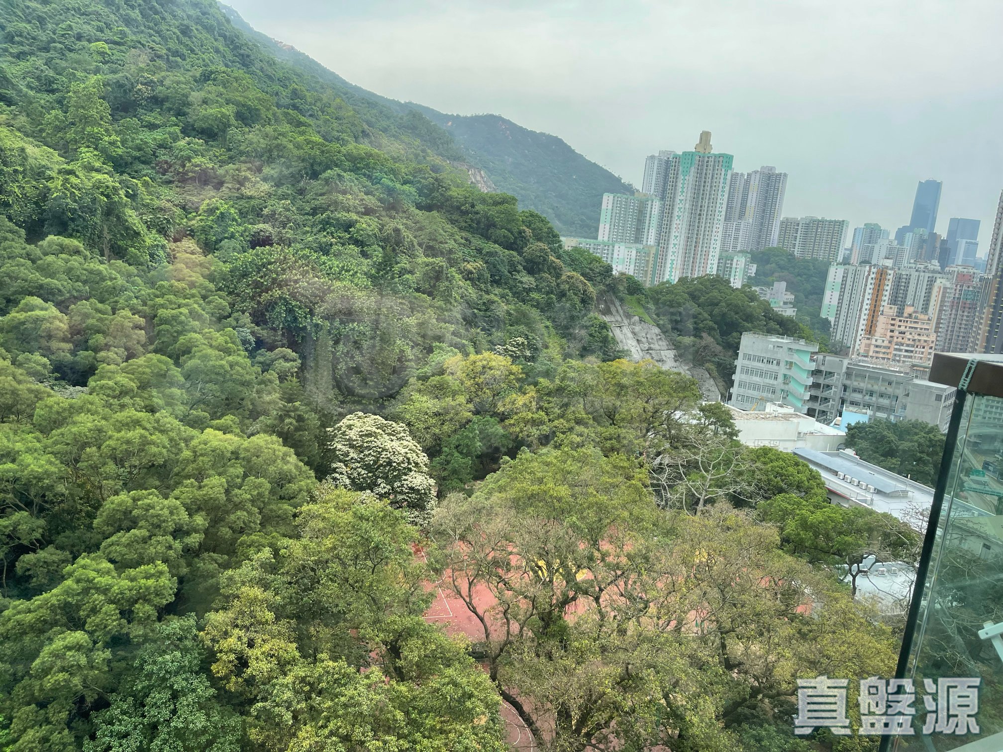 香岛 1座 中层 D室 西湾河/筲箕湾