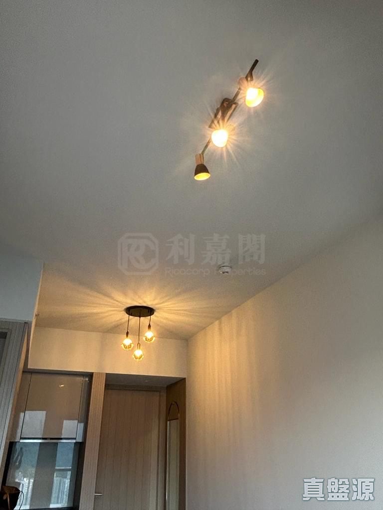 柏傲莊 1期 3座 (3A) 極高層 C室 大圍