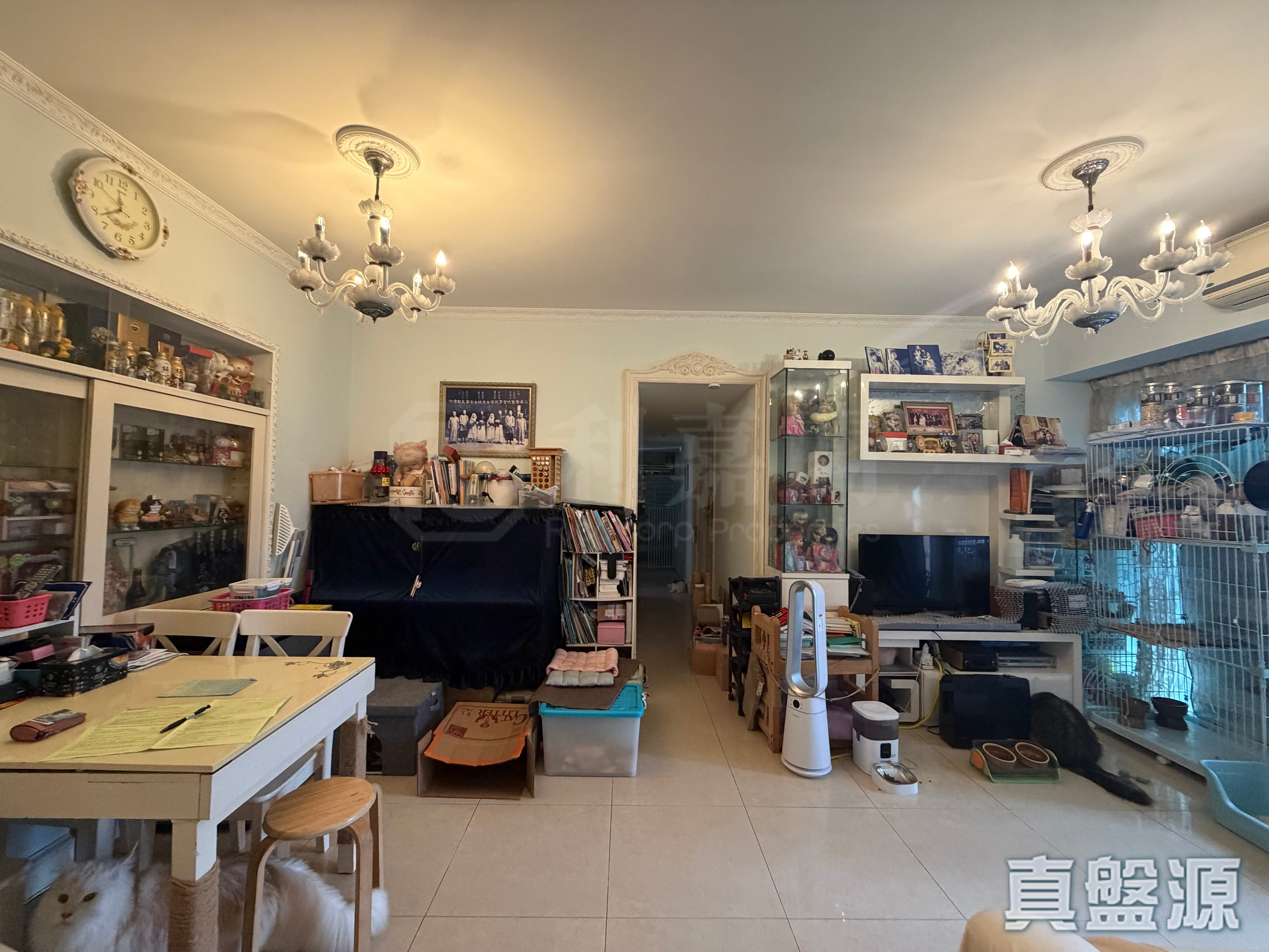 名城 2期 盛薈 2座 高層 SB室 大圍