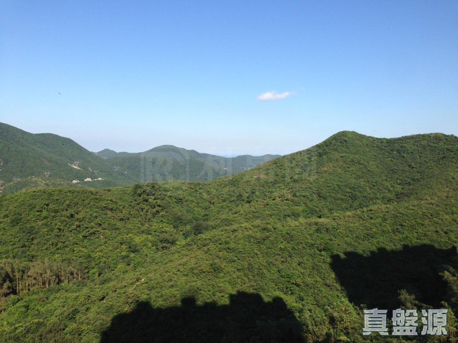 阳明山庄 山景园 5座 极高层 37室 山顶/南区