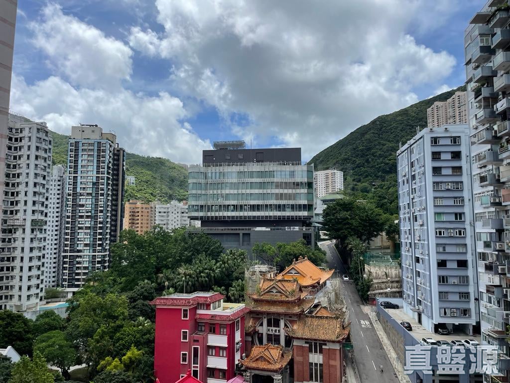 THE ASTER 高层 C室 跑马地/东半山