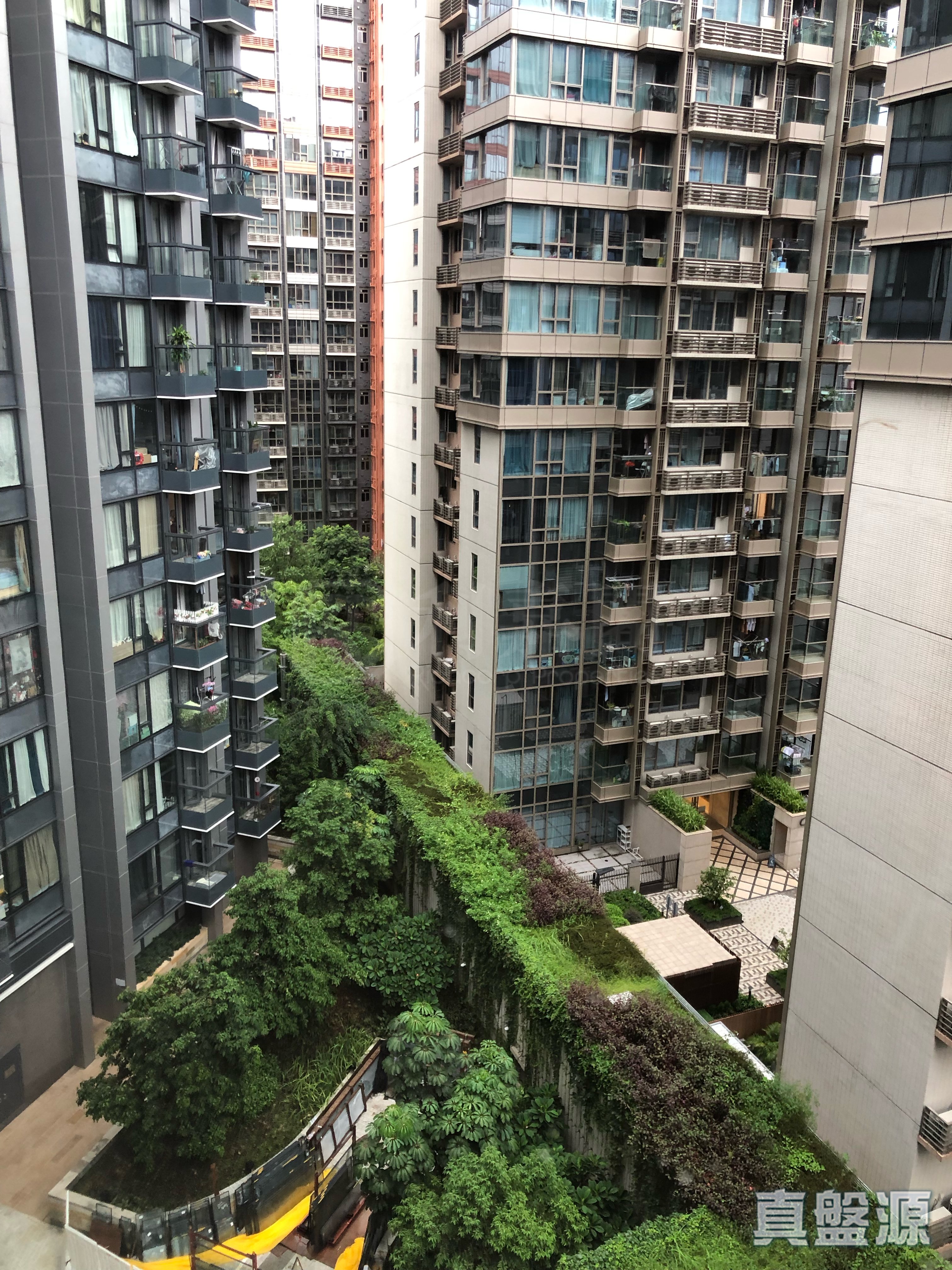 朗涛 6B座 高层 D室 大埔