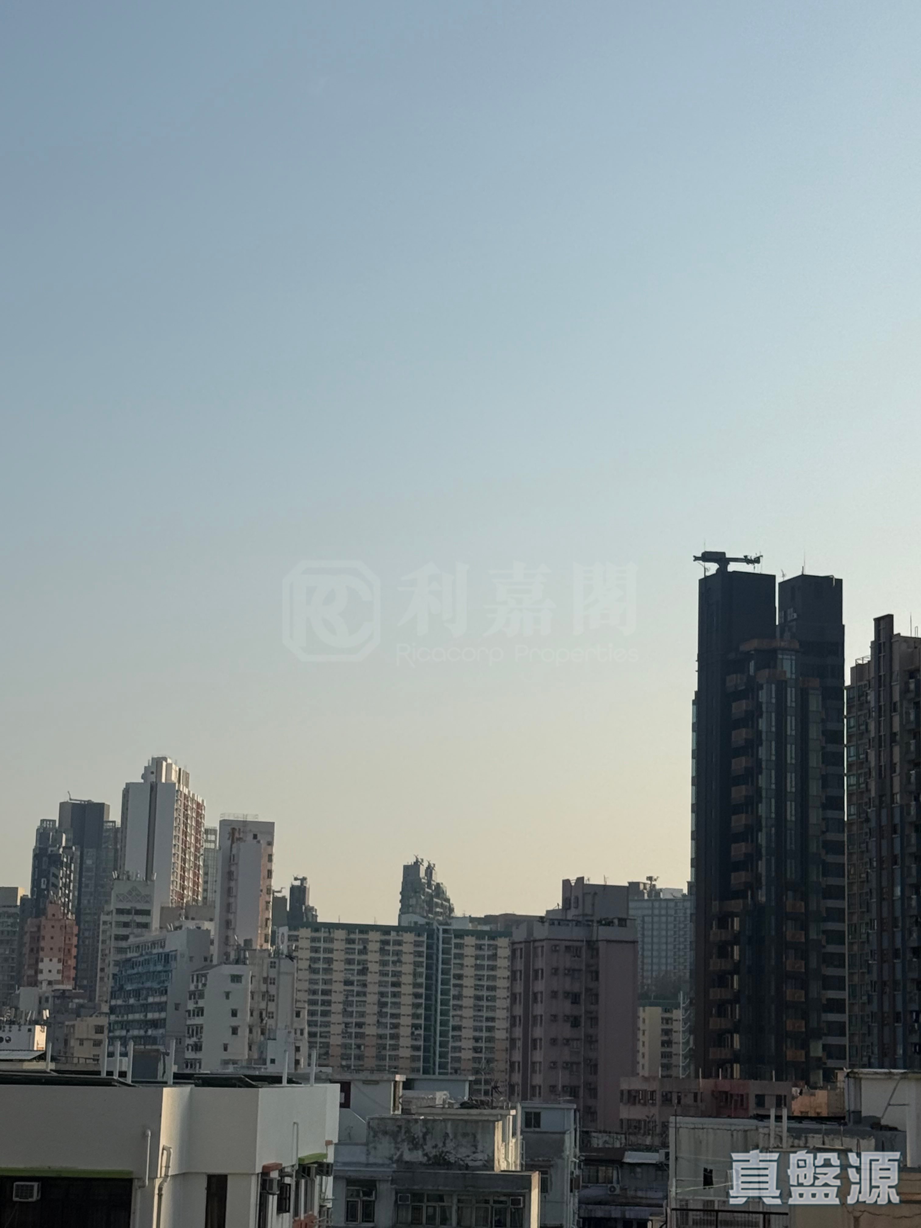 DOWNTOWN 38 中層 L室 土瓜灣/九龍城/新啟德/新蒲崗