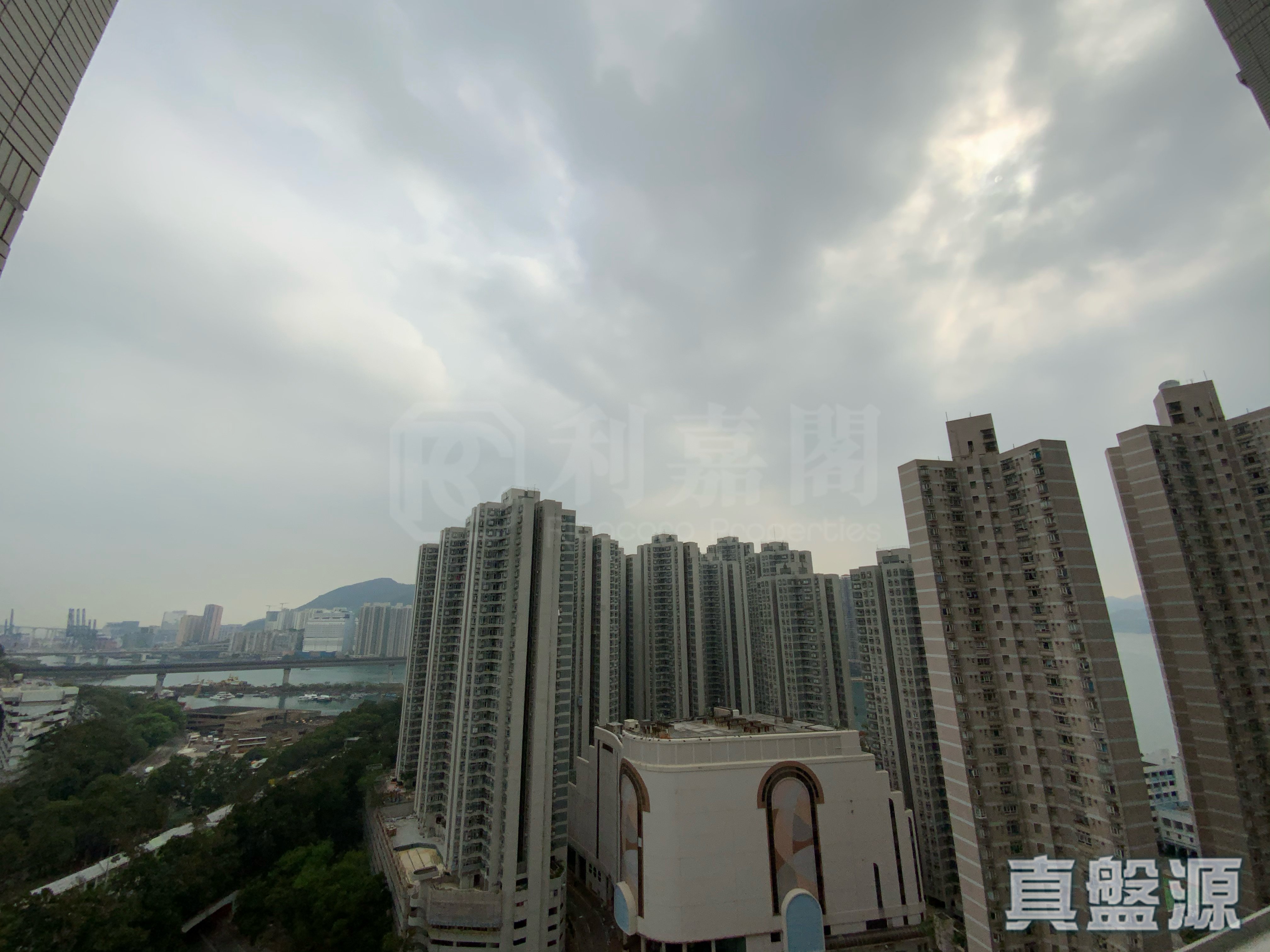 環宇海灣 8座 高層 F室 荃灣