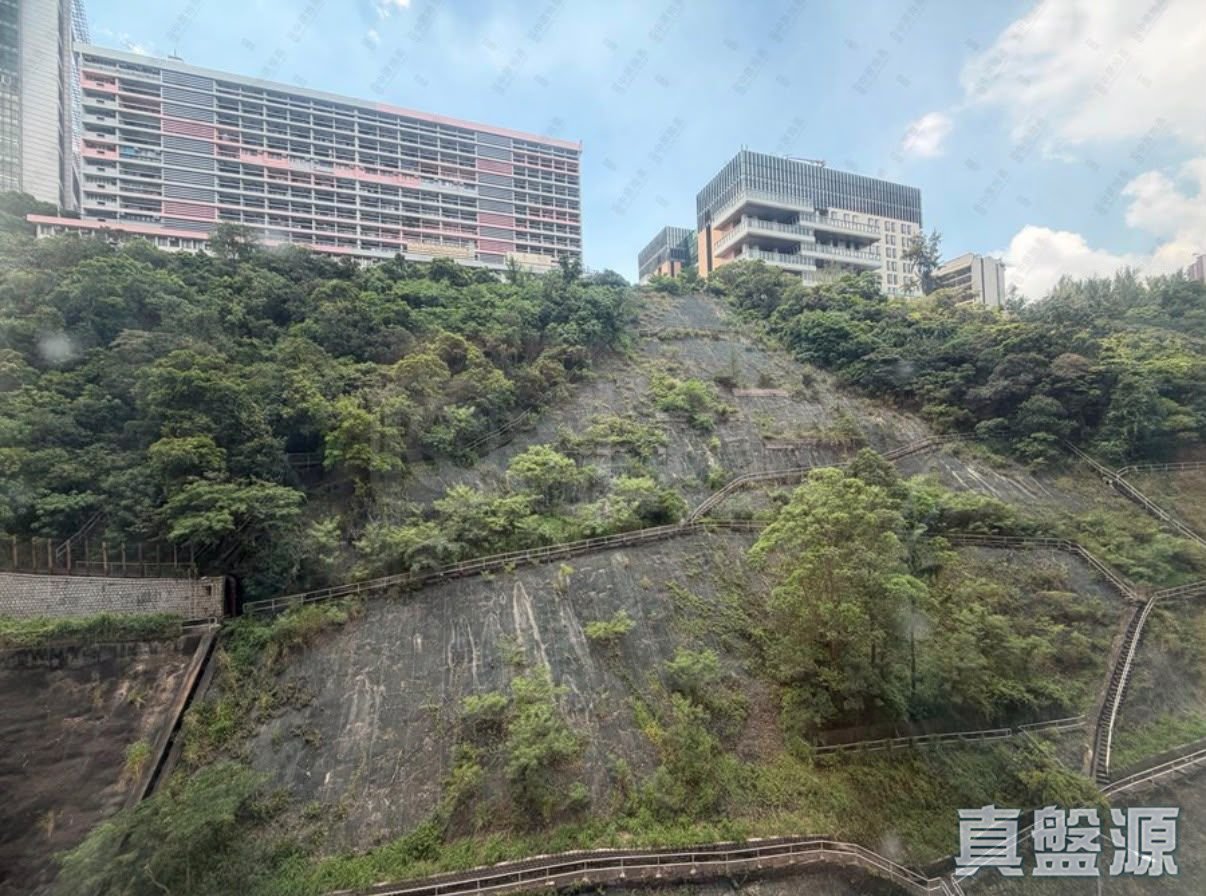 荔灣花園 B座 中層 7室 美孚/華景