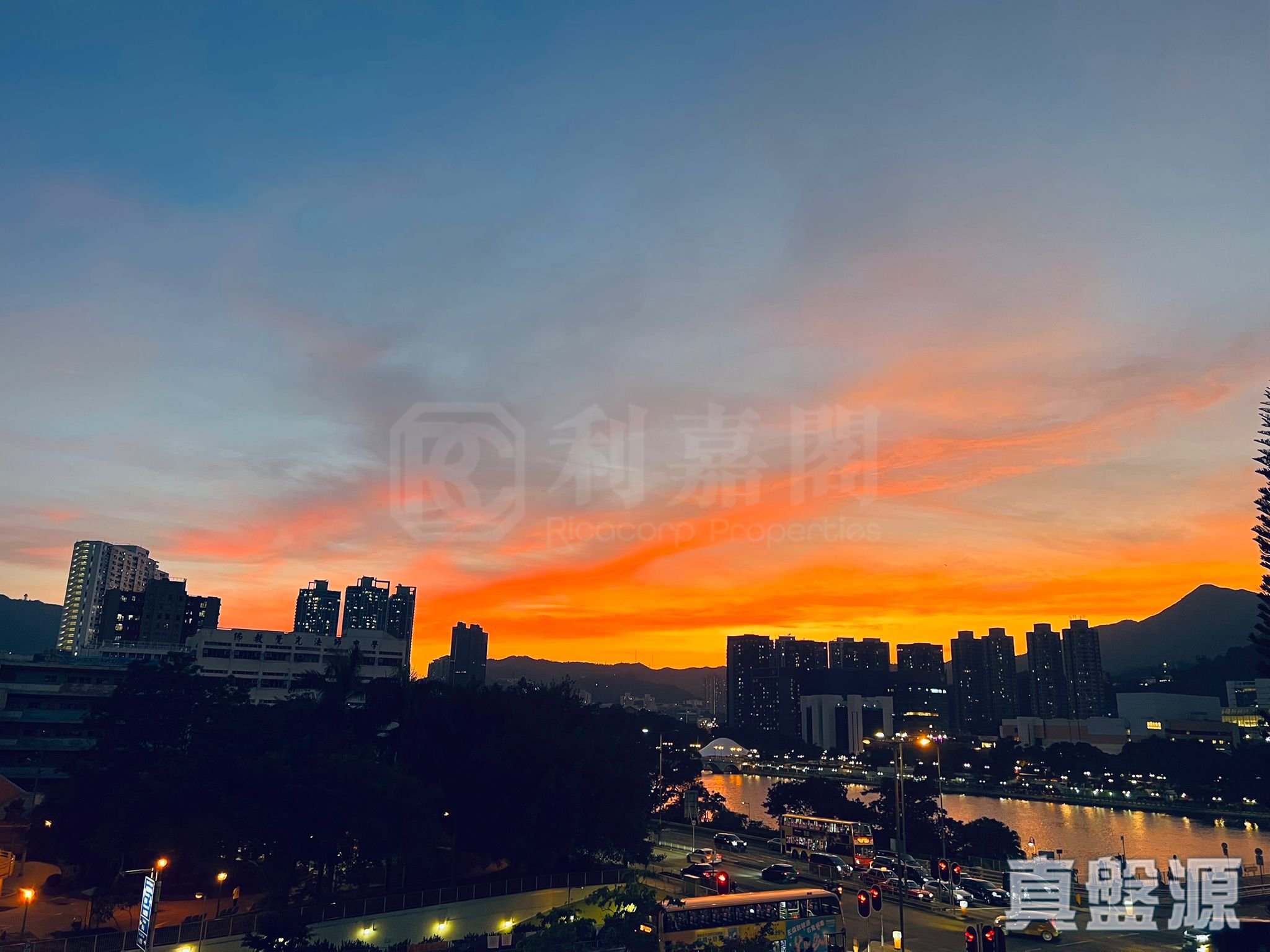 河畔花园 A座 低层 8室 沙田/火炭/九肚山