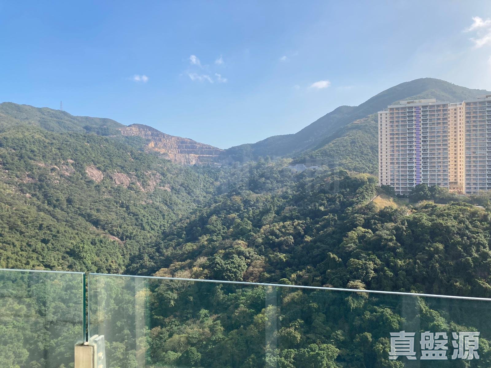 渣甸山名門 5座 極高層 C室 跑馬地/東半山