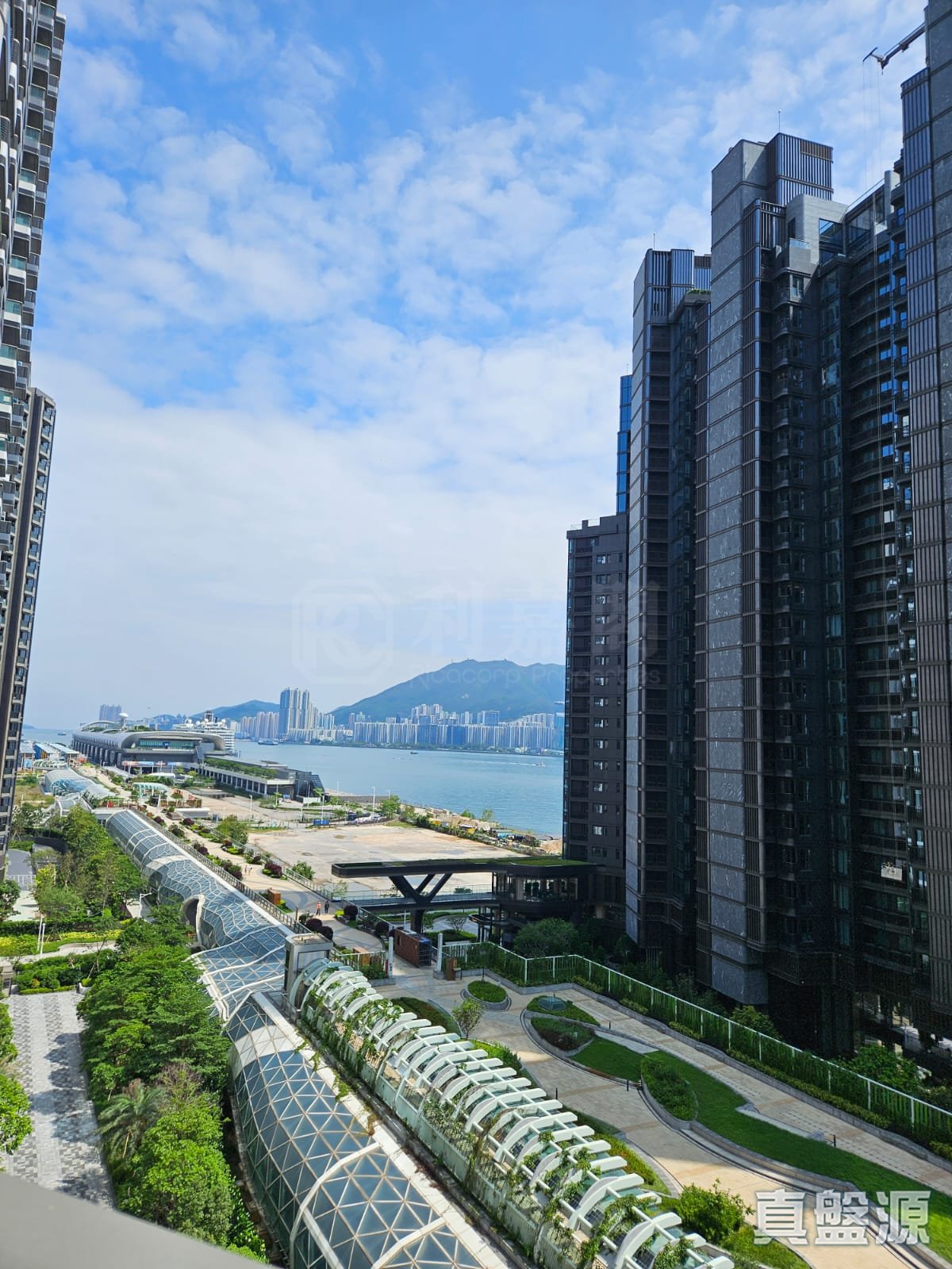 MIAMI QUAY 1期 2座 中层 E室 土瓜湾/九龙城/新启德/新蒲岗