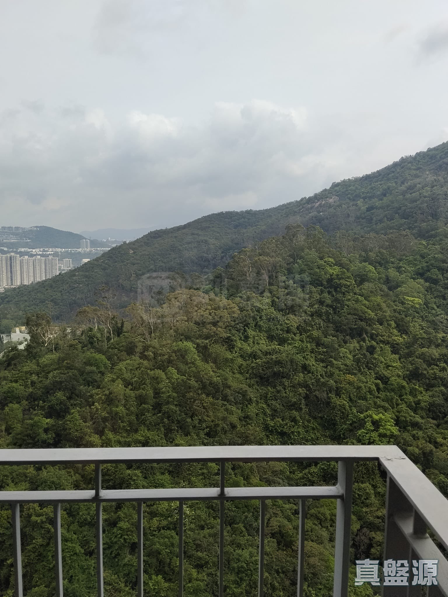 绿怡雅苑 2座 极高层 F室 沙田/火炭/九肚山