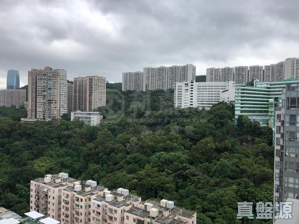 曉峰 極高層 B室 北角/北角半山