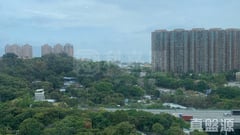 緹岸 1期 1座 高層 C室 深井/青山公路