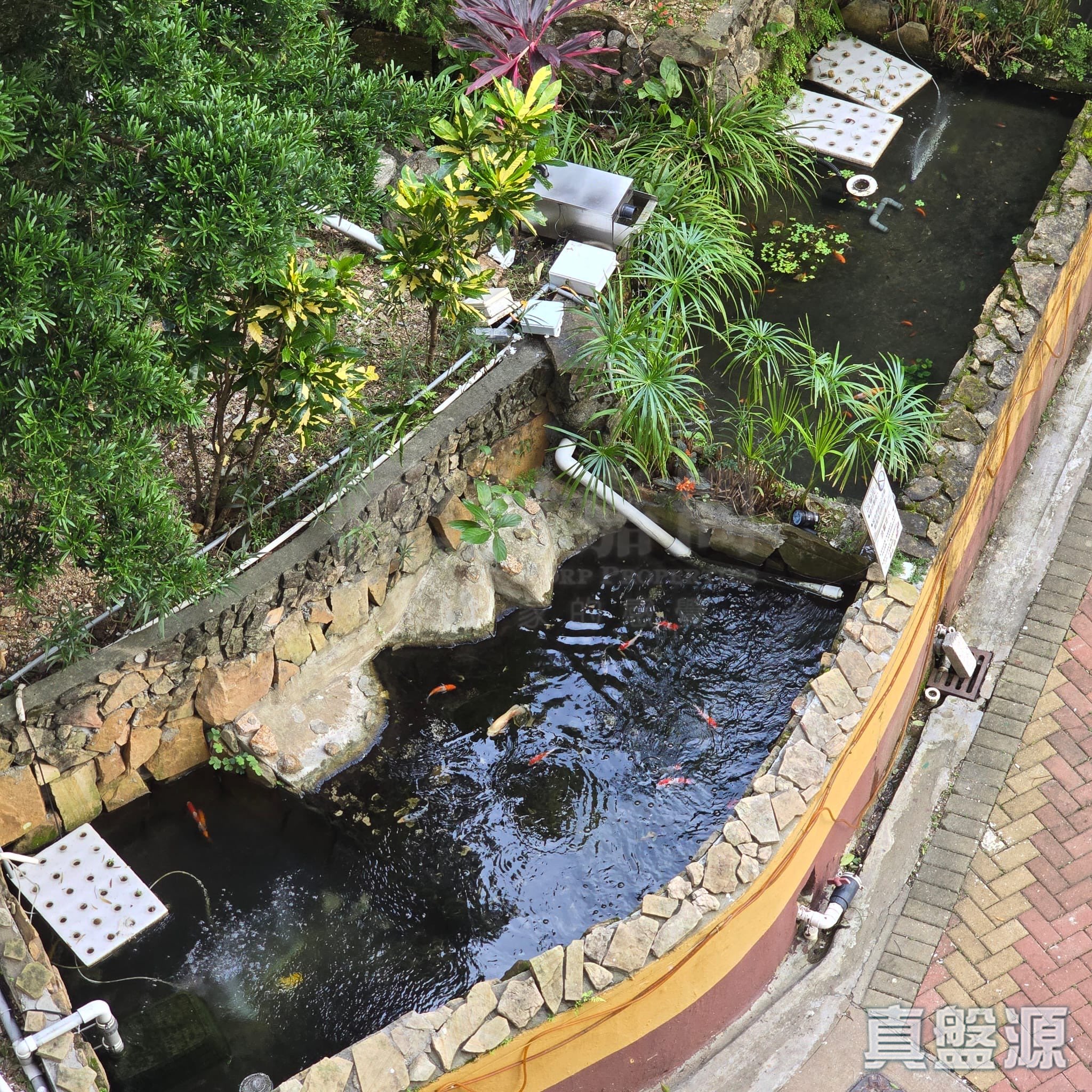 祥和苑 和均阁 (A座) 低层 07室 观塘/蓝田/油塘