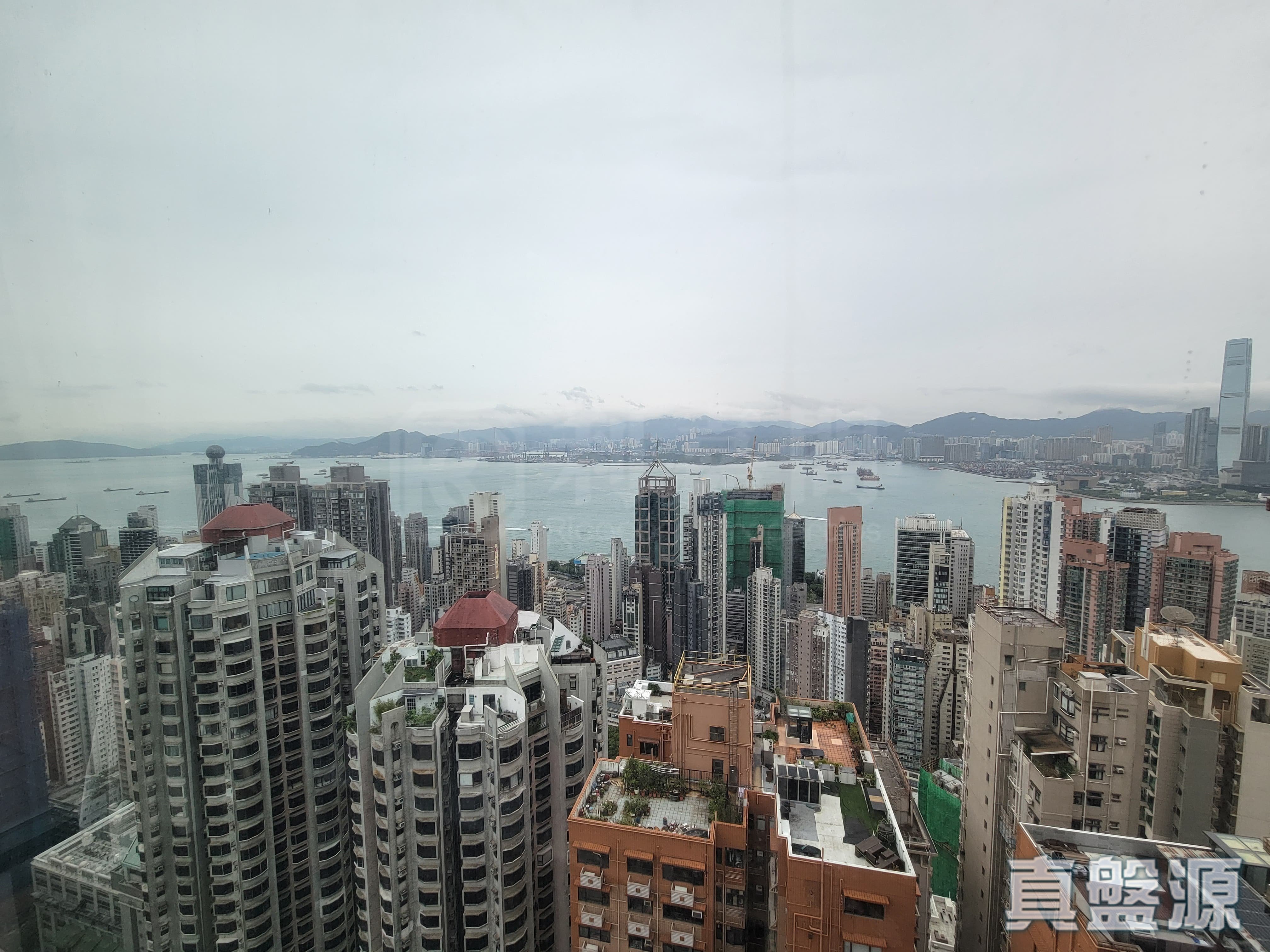 柏道2號 高層 A室 西半山