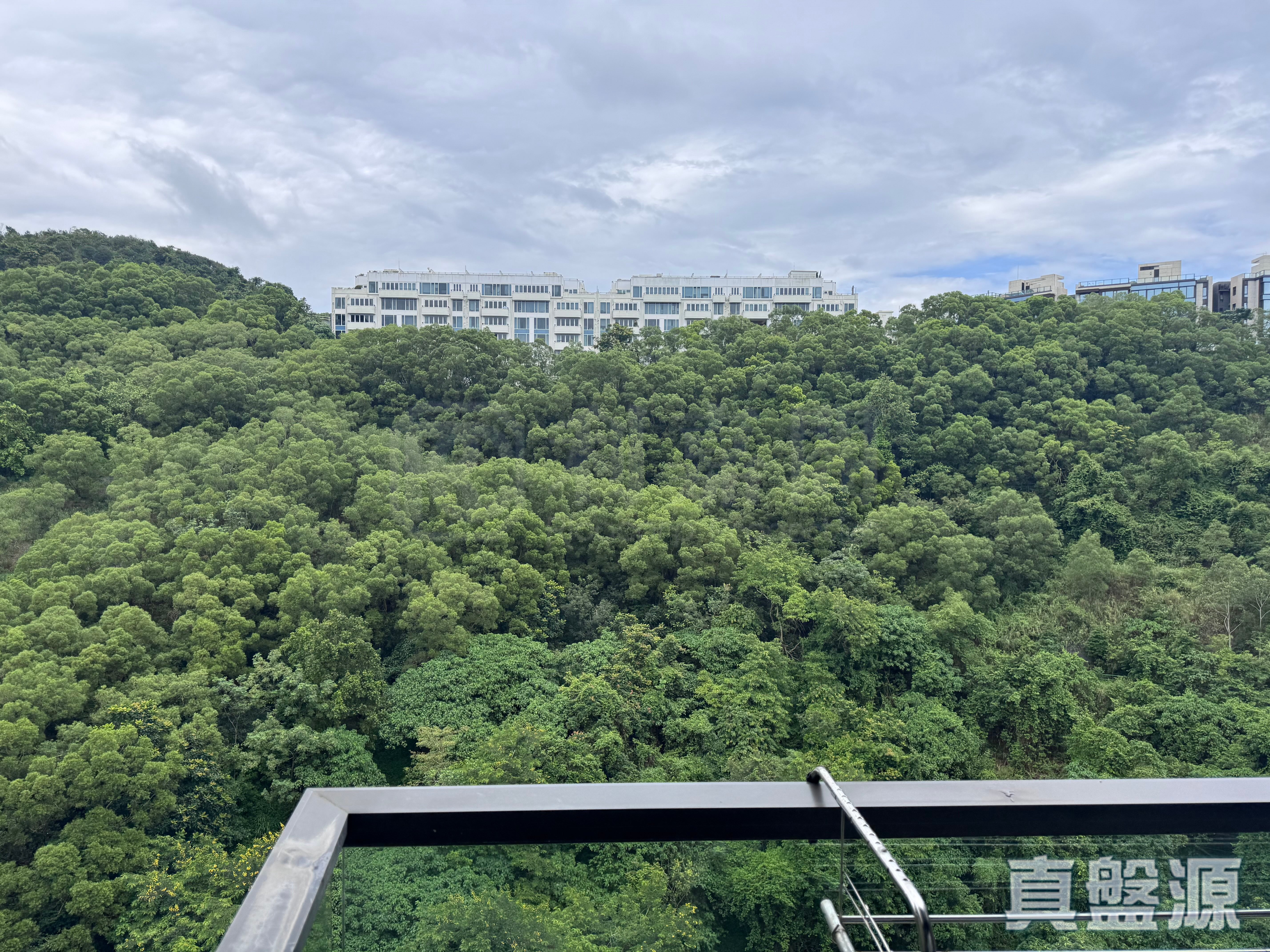 玖瓏山 傲瓏閣 第2座 極高層 E室 沙田/火炭/九肚山