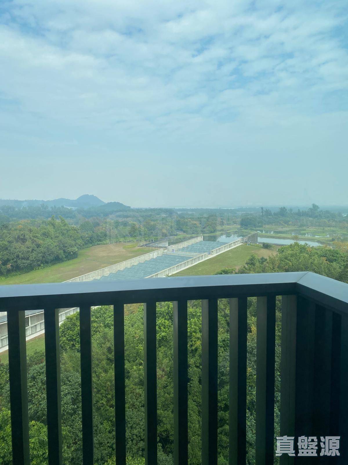 WETLAND SEASONS PARK 2期 2座 天水围