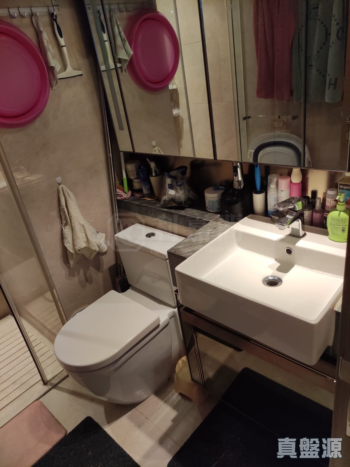 東環 1期 5B座 低層 02室 東涌