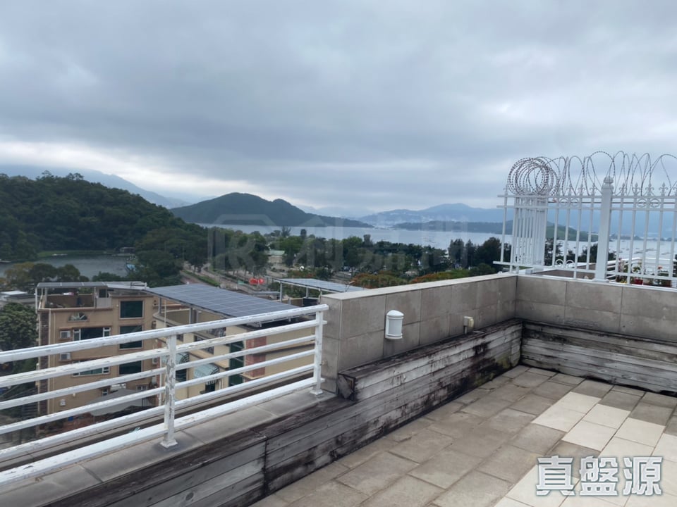 大美督222 大埔