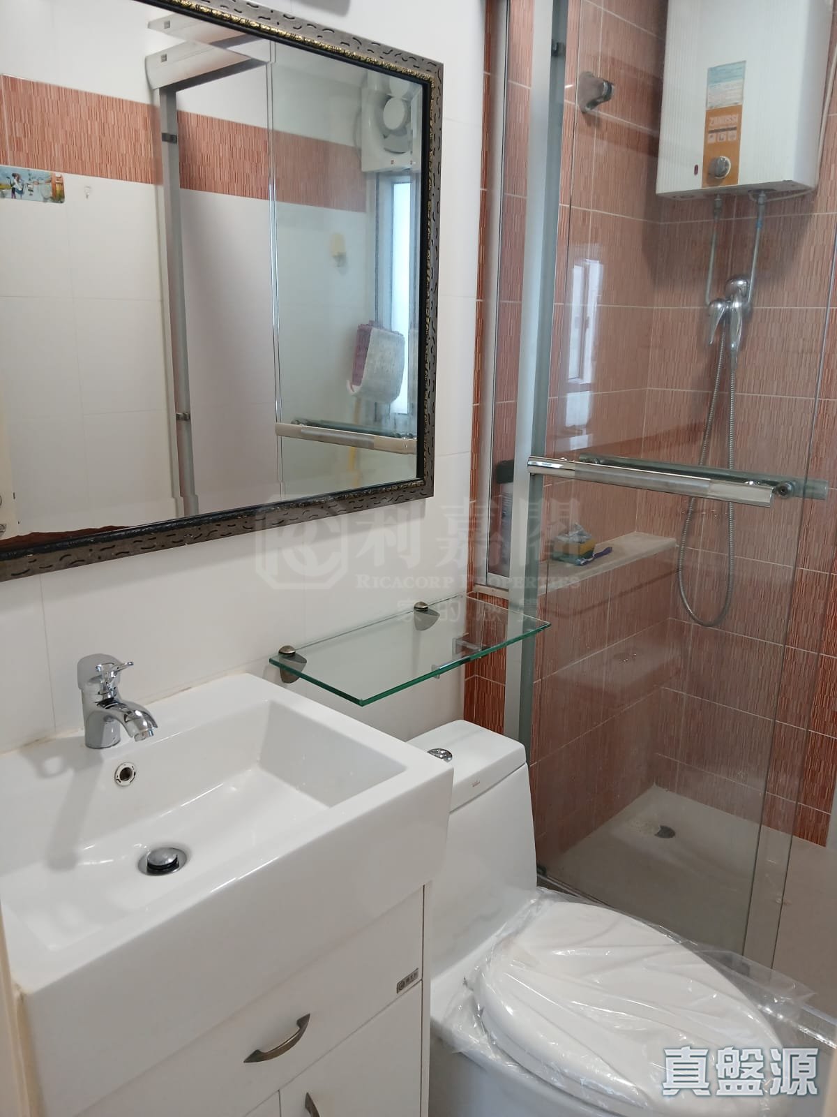 沙田第一城 4期 38座 高层 B室 沙田/火炭/九肚山