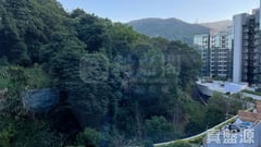 天鑽 15座 中層 G室 大埔