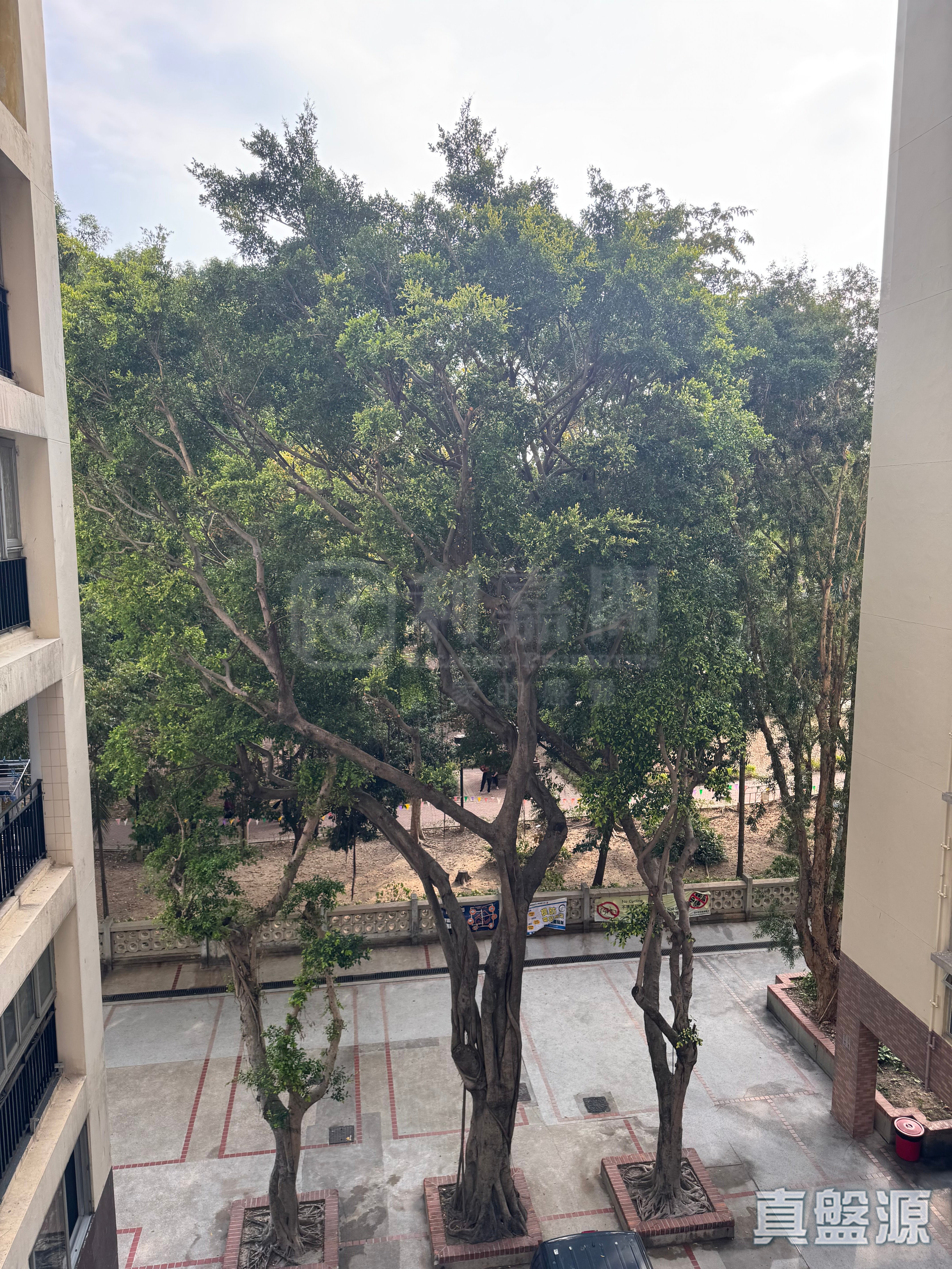 美孚新邨 2期 百老汇街30-32号 低层 B室 美孚/华景