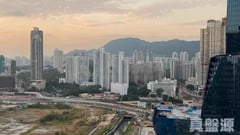 OASIS KAI TAK 1座 高層 B室 土瓜灣/九龍城/新啟德/新蒲崗