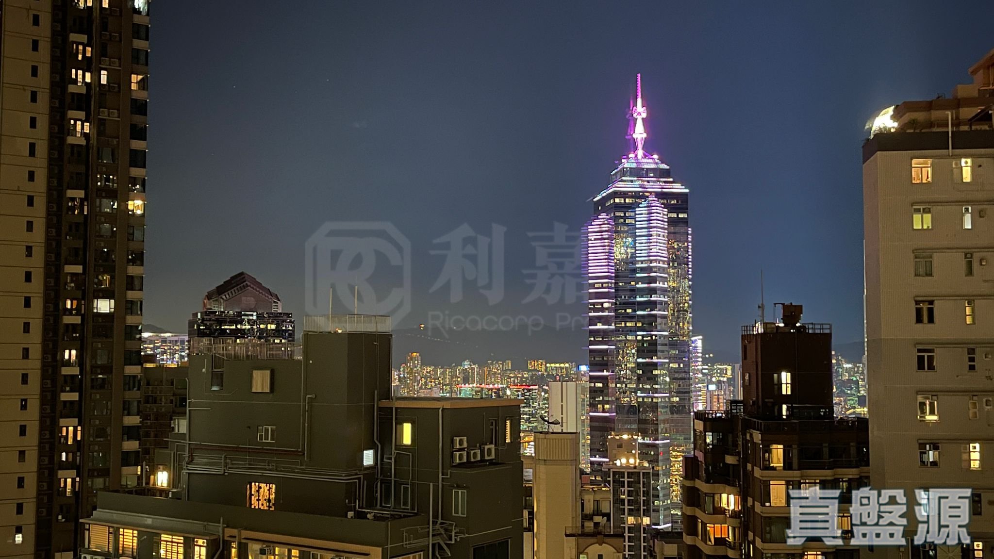THE RICHMOND 高层 C室 西半山