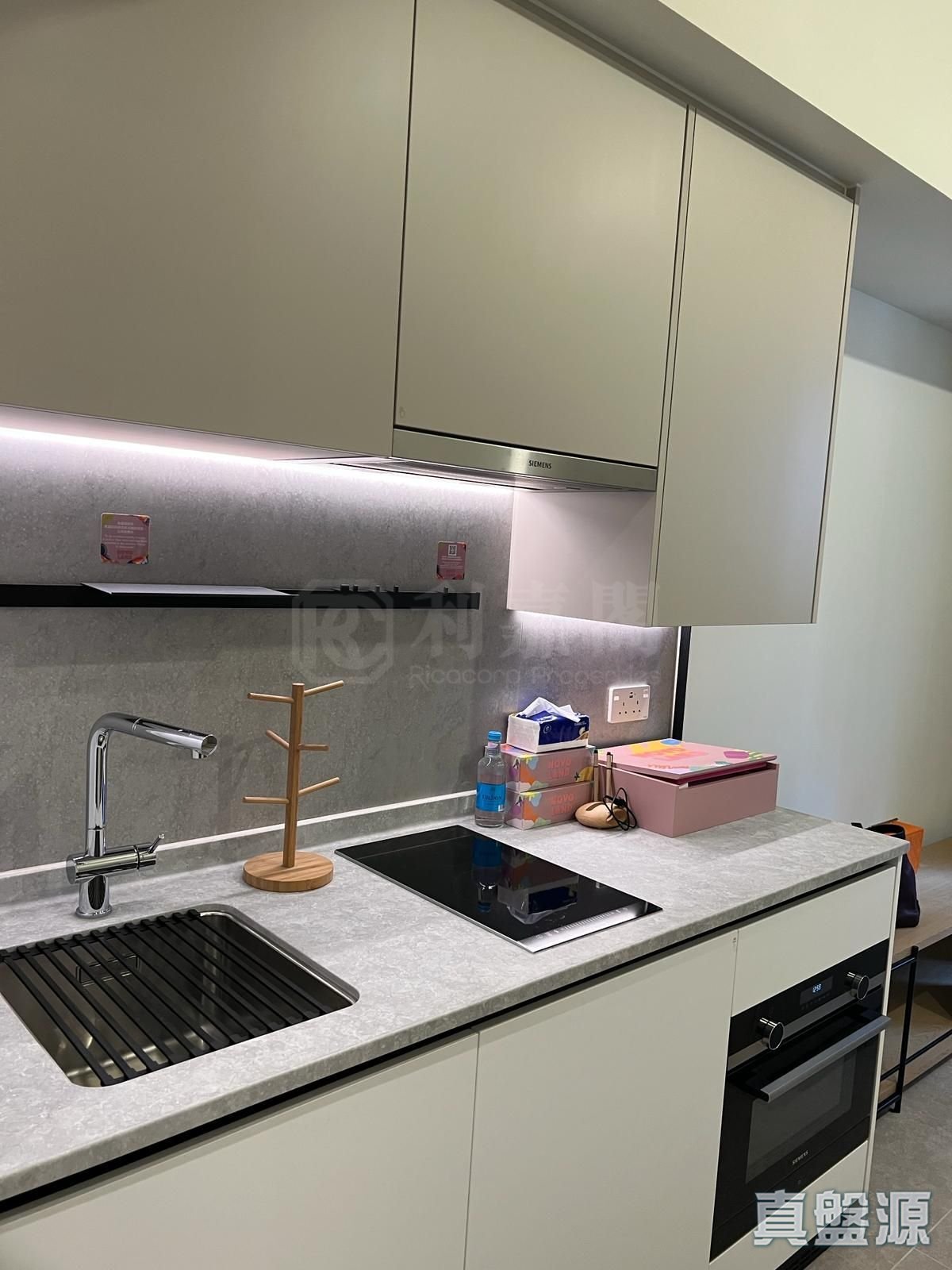 NOVO LAND 1A期 Elverum 1座 低层 F室 屯门