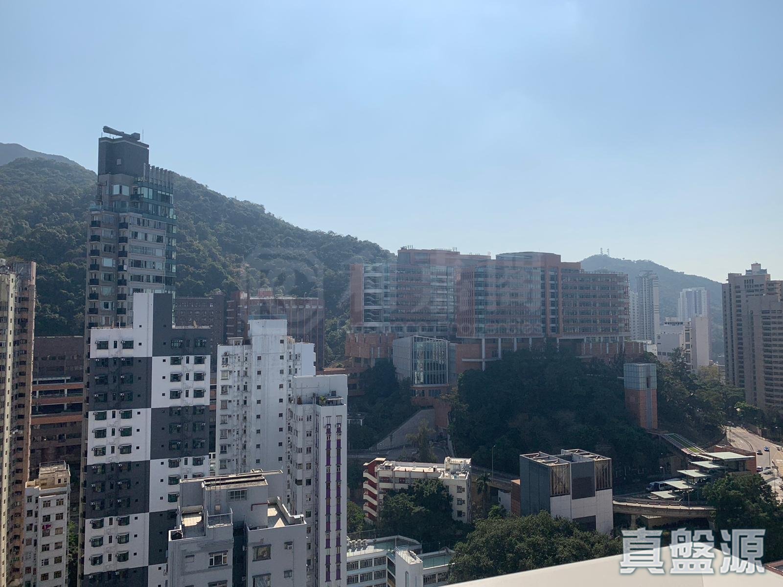 翰林峰 3座 极高层 D室 中上环/西区