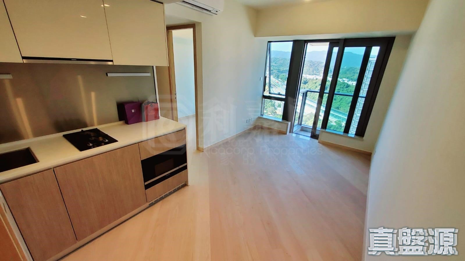 天鑽 10座 高層 C室 大埔