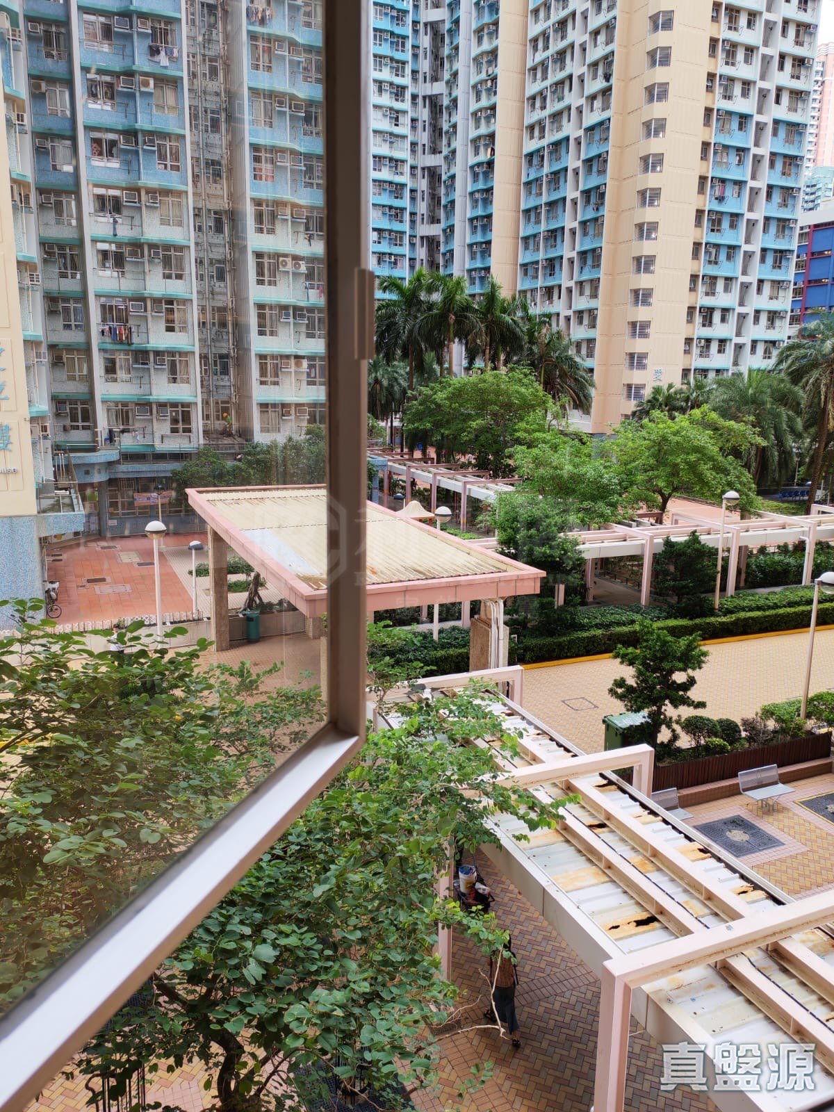 東旭苑 東景閣 (A座) 低層 1室 西灣河/筲箕灣