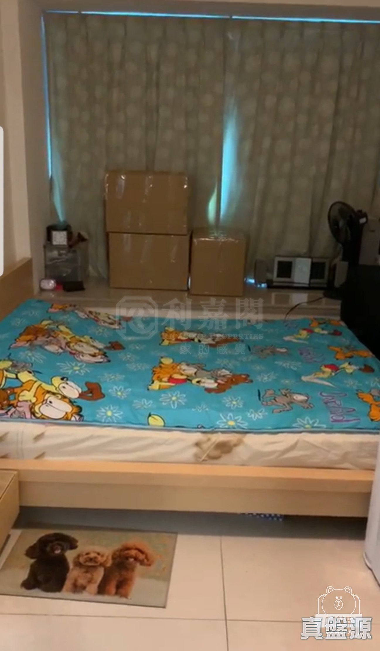 日出康城 2期C 領凱 9座 中層 RD室 將軍澳