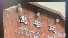 惠安苑 E座 高層 2室 康怡/鰂魚涌/太古城