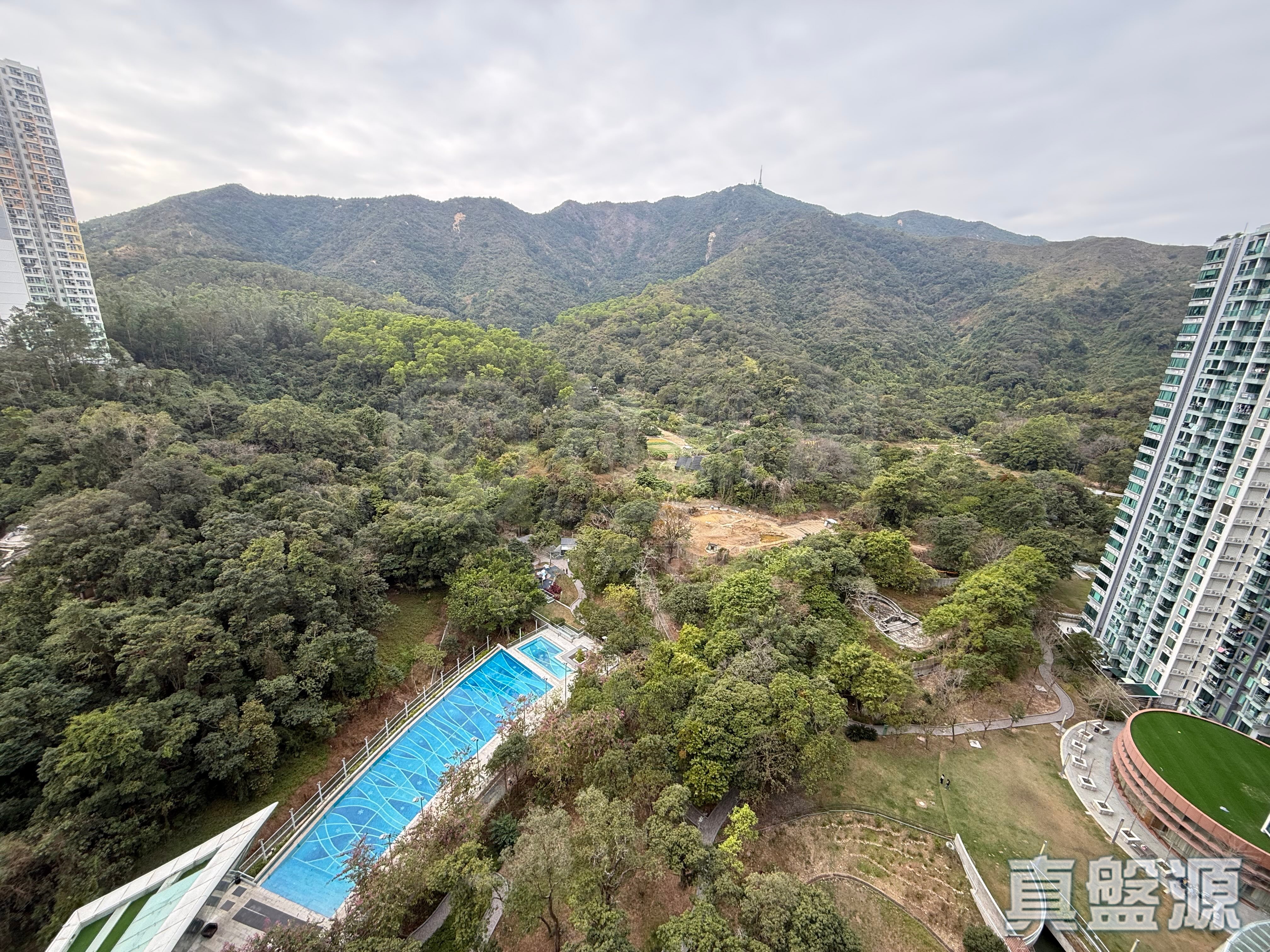 嵐山 1期 5座 大埔