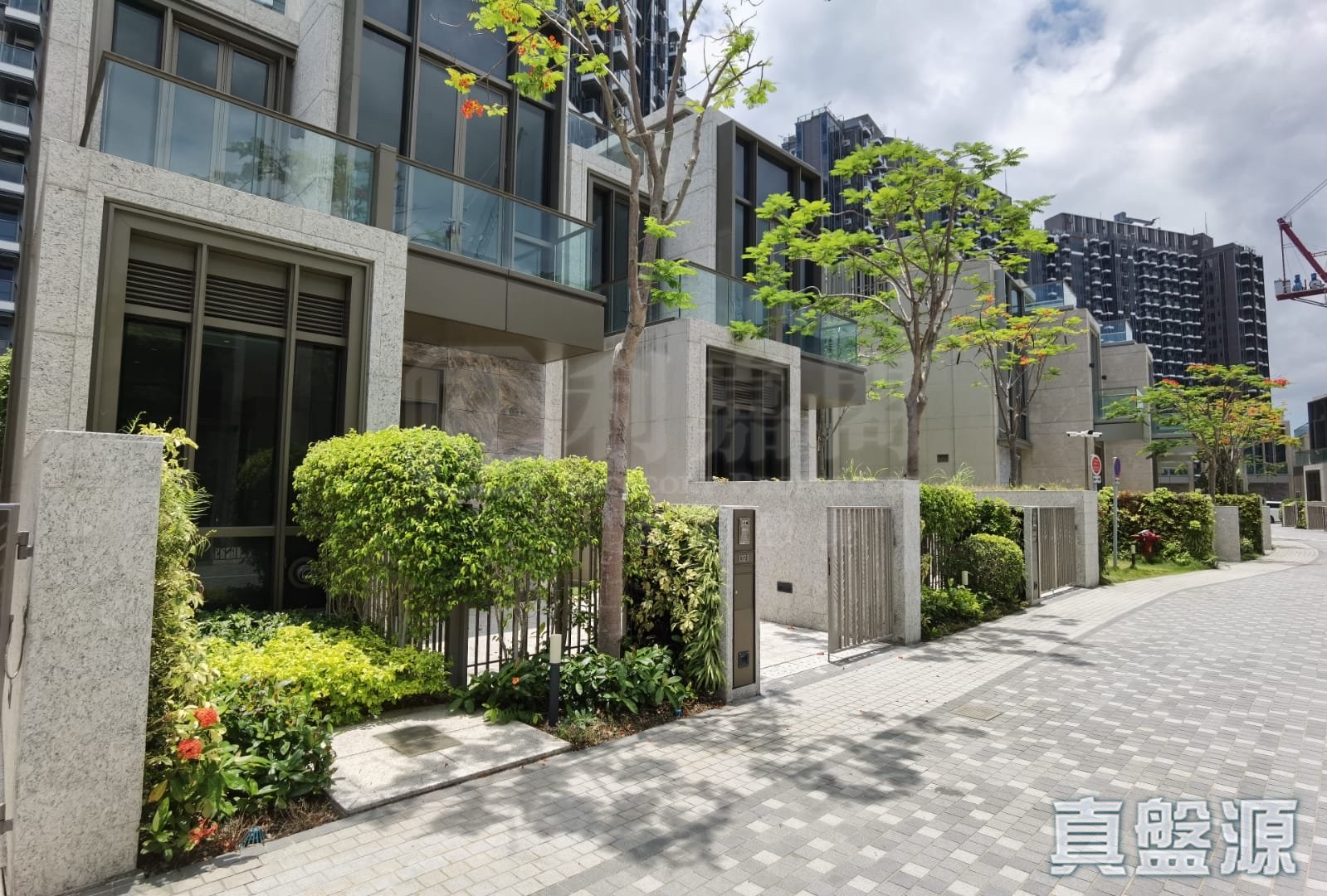 NAPA 深井/青山公路