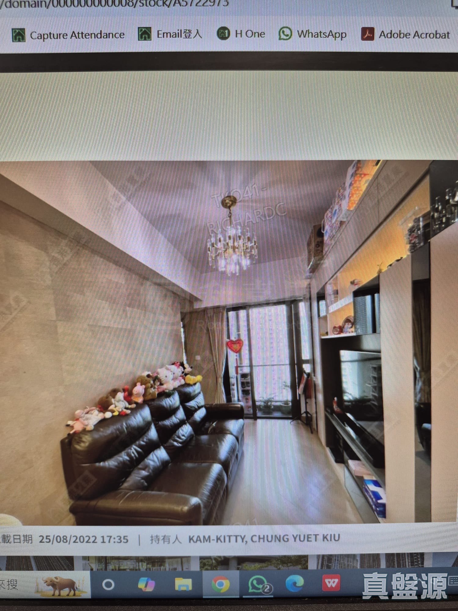 日出康城 4期A 晉海 2B座 高層 E室 將軍澳