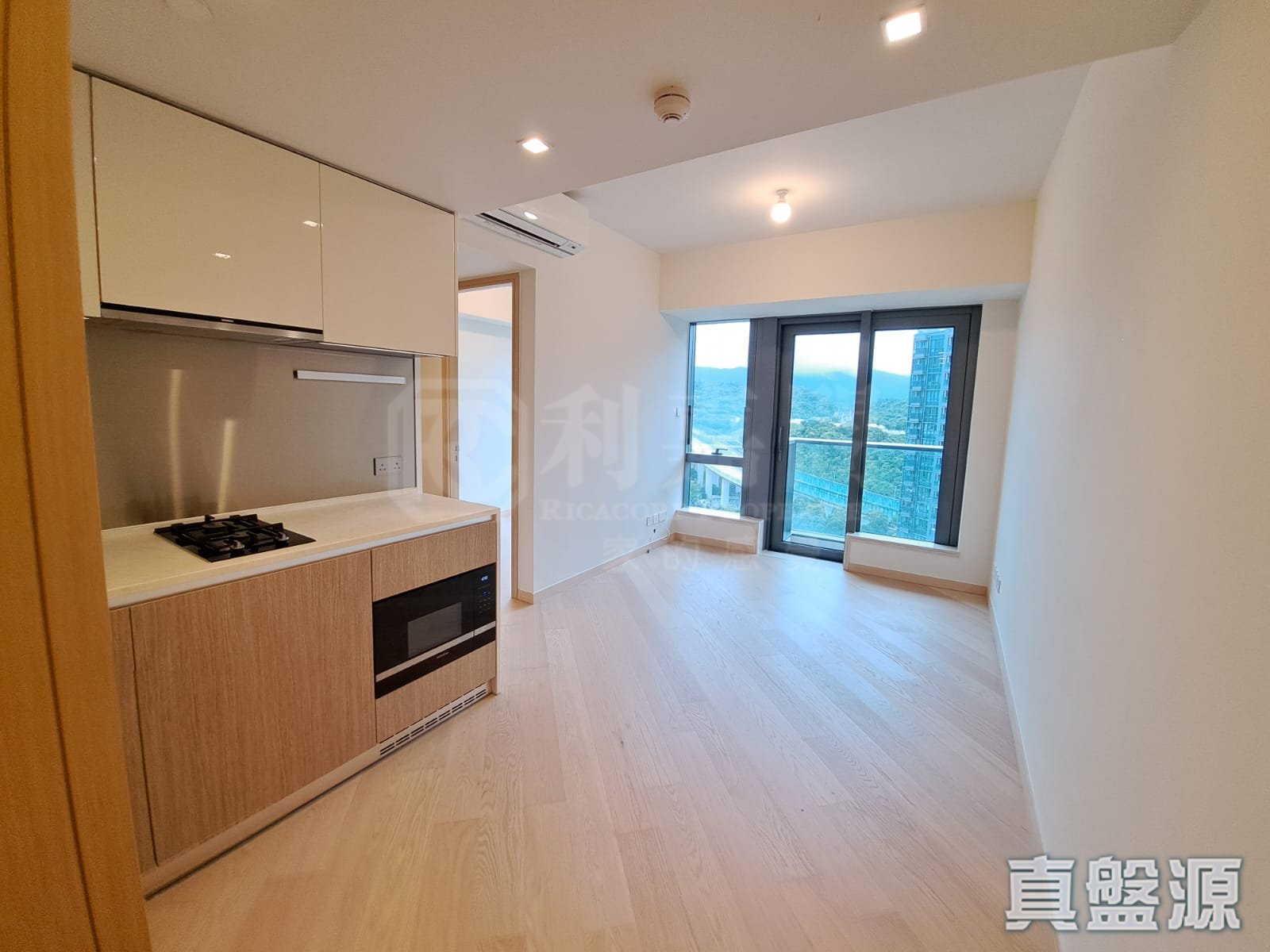 天钻 10座 高层 C室 大埔