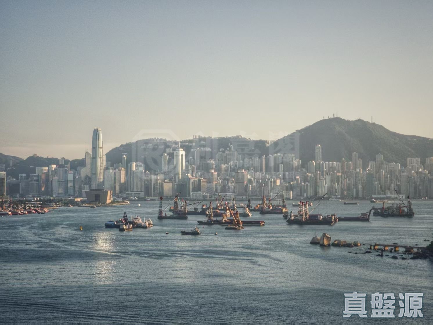 維港滙 2期 3座 (3A) 中層 C室 奧運站/南昌